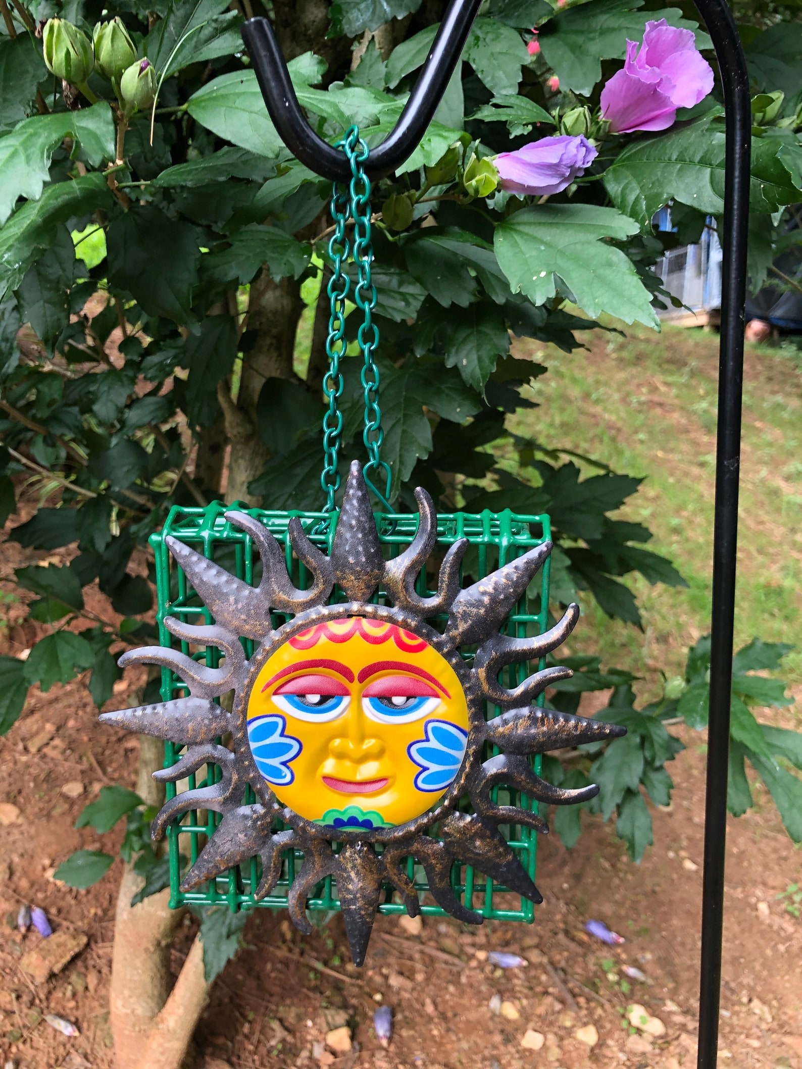 Suet Bird Feedersunshine Suet Bird Feederyard Art Bird Etsy