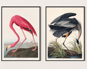 John J. Audubon Conjunto de 2 impresiones de arte, impresiones de arte de aves, arte moderno, impresión de aves, arte moderno, decoración de arte de pared, impresión de carteles, tamaños A2 A3 A4