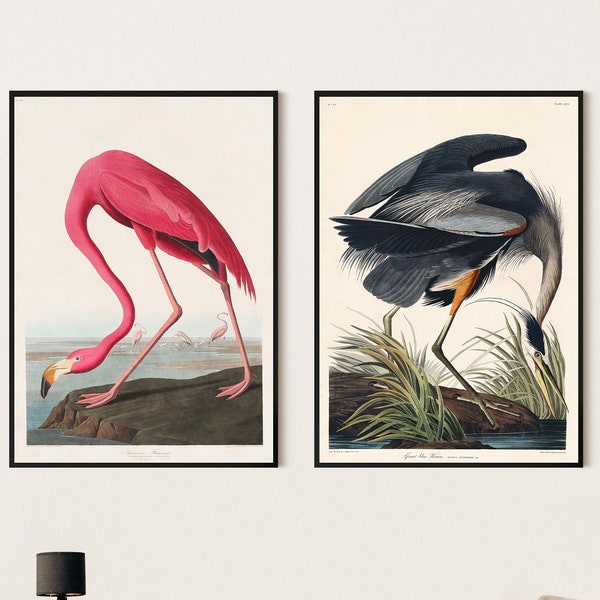 John J. Audubon Set of 2 Art Prints, Bird Art Prints, Modern Art, Bird Print, Modern Art, Wall Art Decor, Poster Print, Sizes A2 A3 A4