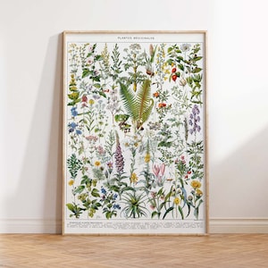 Adolphe Millot Botanische Blumen Poster Druck, Vintage Kunstdruck, Blumenkunst, Heilpflanzen, Kräuter Wand Kunst Poster Print Größen A2/A3/A4