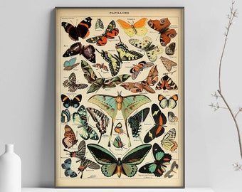 Adolphe Millot Butterflies Print, Vintage Papillons, Vintage Art, Butterflies Poster, Gift Idea - Wall Art Poster Print - Sizes A2/A3/A4
