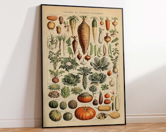 Vegetable Legumes Wall Chart, Adolphe Millot Vegetables, Millot Kitchen Art Print, Millot Wall Decor, Wall Art Poster Print - Sizes A2/A3/A4