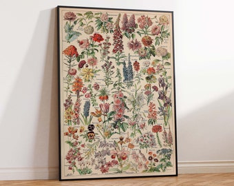 Fleurs de Adolphe Millot Impresión de póster de flores botánicas, Impresión de arte vintage, Arte floral, Impresión de arte de la naturaleza Impresión de póster de arte de pared Tamaños A2/A3/A4