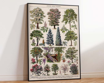 Impresión de carteles de árboles ornamentales, impresión de arte vintage de árboles, arte floral vintage, impresión de arte botánico, impresión de carteles de arte de pared de árboles tamaños A2/A3/A4