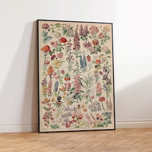 Fleurs By Adolphe Millot Botanical Flower Poster Print, Vintage Art Print, Floral Art, Nature Art Print Wall art poster print Sizes A2/A3/A4