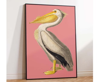 John James Audubon vogels, Amerikaanse witte pelikaan poster print, vogel kunst, moderne vogel print, cadeau, vogel muur kunst poster print maten A2/A3/A4