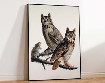 John James Audubon Birds, Great Horned Owl Poster Print, Bird Print, Vintage Owl Print, Bird Wall Print Wall art poster print Sizes A2/A3/A4