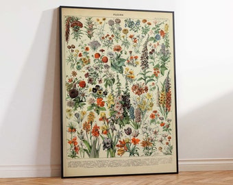 Fleurs By Adolphe Millot Botanical Flower Poster Print, Vintage Art Print, Floral Art, Nature Gift Idea Wall art poster print Sizes A2/A3/A4