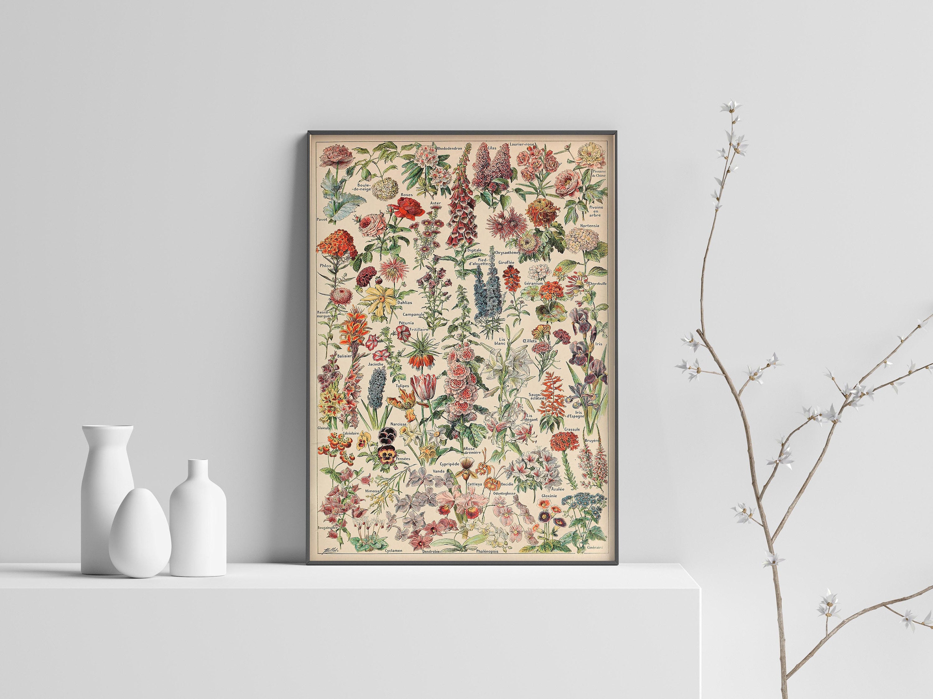 Fleurs by Adolphe Millot Botanical Flower Poster Print - Etsy