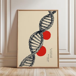 Könnte beinhalten: Gerahmter Kunstdruck mit einer stilisierten Darstellung einer DNA-Doppelhelix in Schwarz, zwei roten Kreisen und japanischem Text. Das Kunstwerk befindet sich vor einem cremefarbenen Hintergrund.