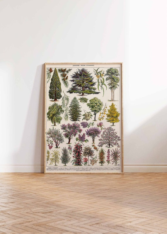 Ornamental Trees Poster Print, Trees Vintage Art Print, Vintage Floral Art, Botanical Nature Art Print Wall art poster print Sizes A2/A3/A4