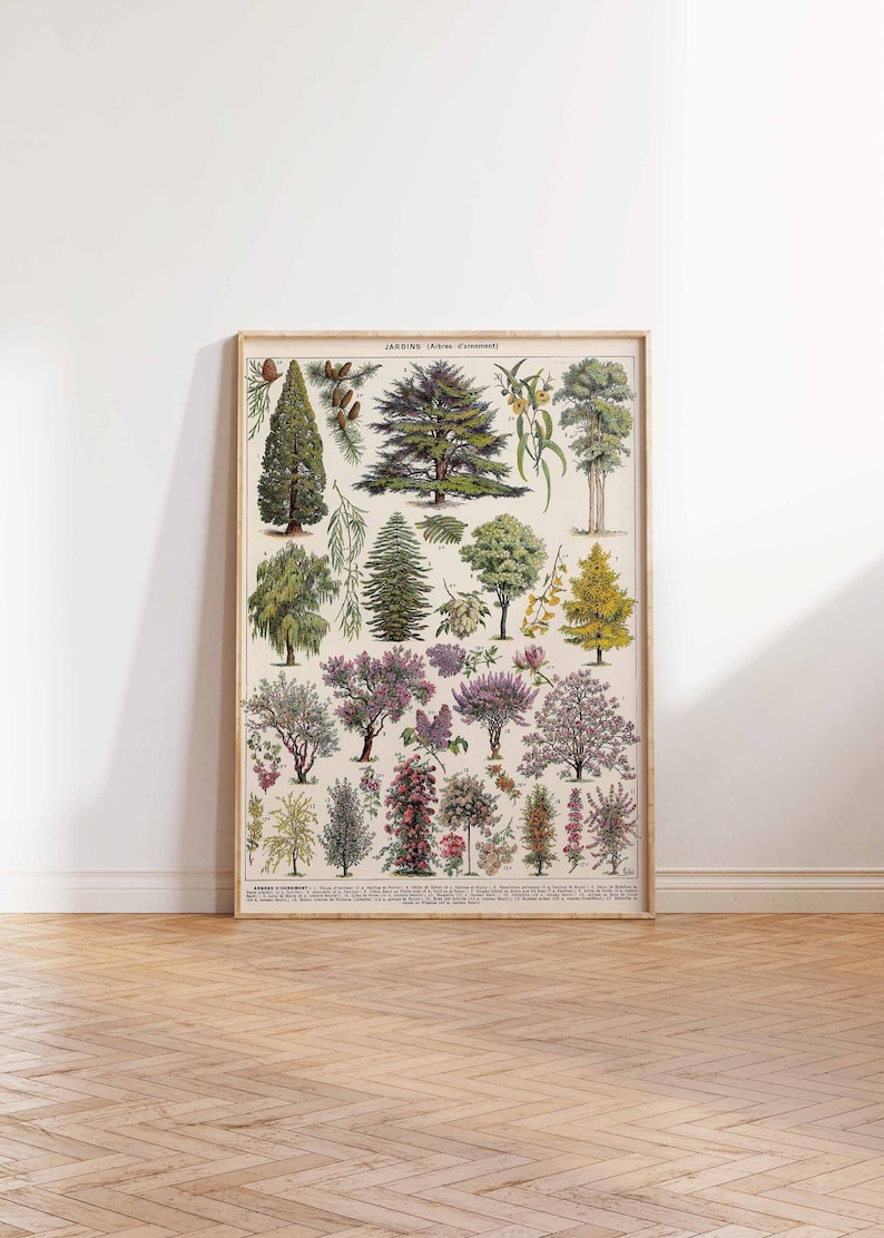 May include: A vintage botanical illustration poster featuring a variety of trees and shrubs. The poster is titled "JARDINS (Arbres d'ornement)" and includes the names of each plant in French.