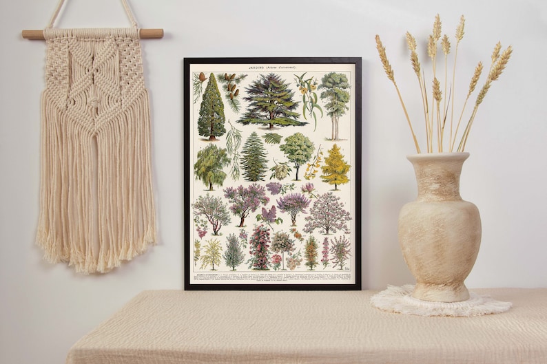 May include: A vintage botanical illustration print featuring a collection of various trees and shrubs. The print is framed in black and displayed on a white wall with a macrame wall hanging and a vase with dried wheat stalks.