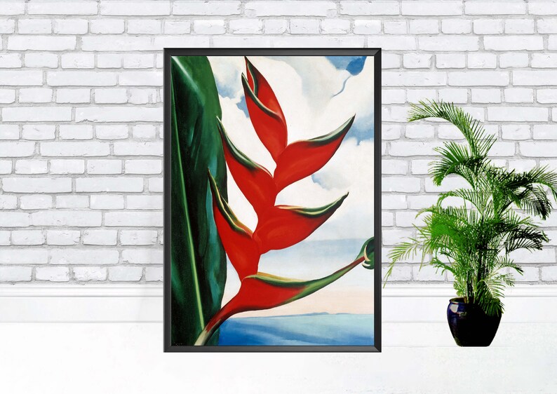 OKeeffe Heliconia Crab's Claw Ginger 1939 Etsy