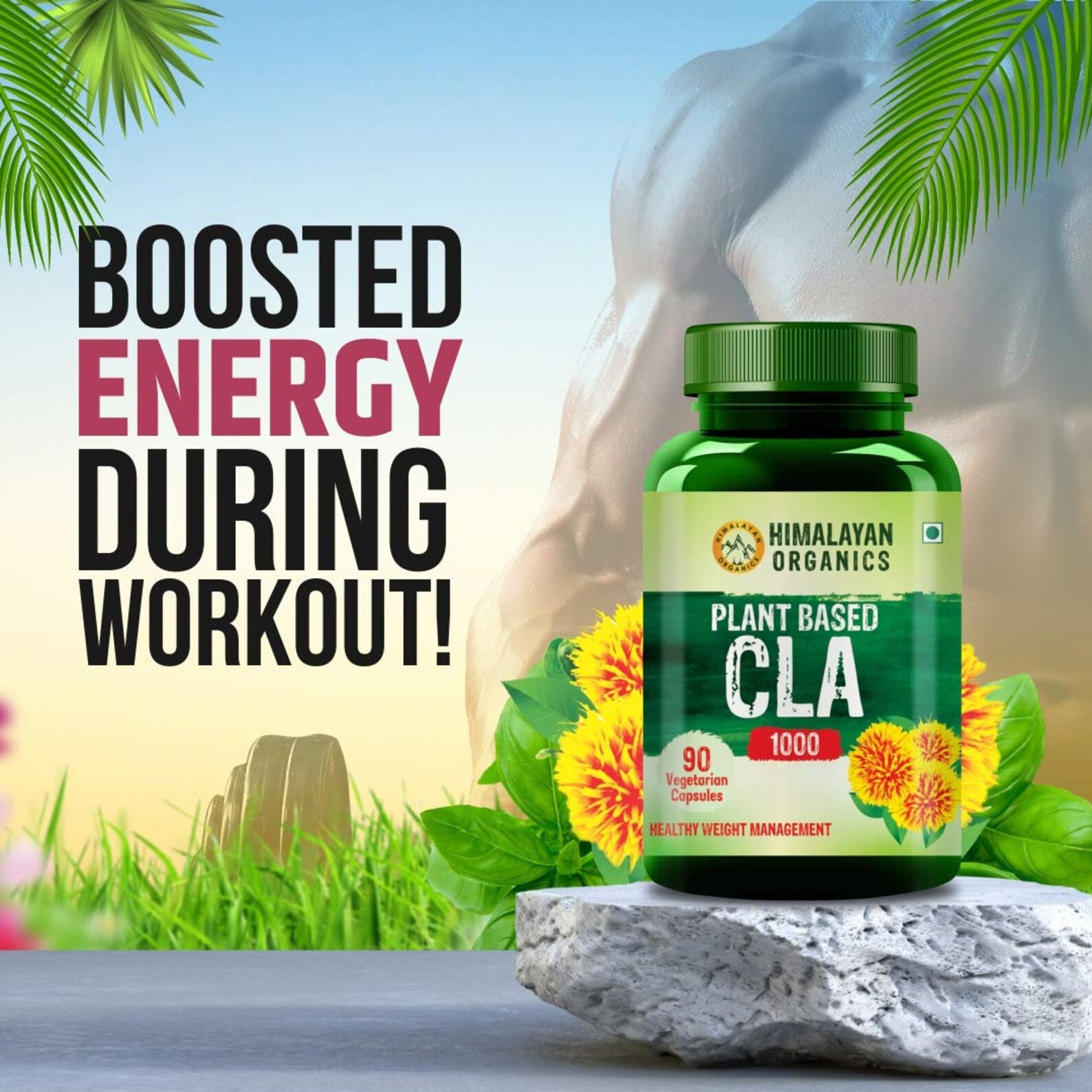 Himalaya Bio Pflanzenbasiertes CLA 1000 Fat Burner Supplement Etsy