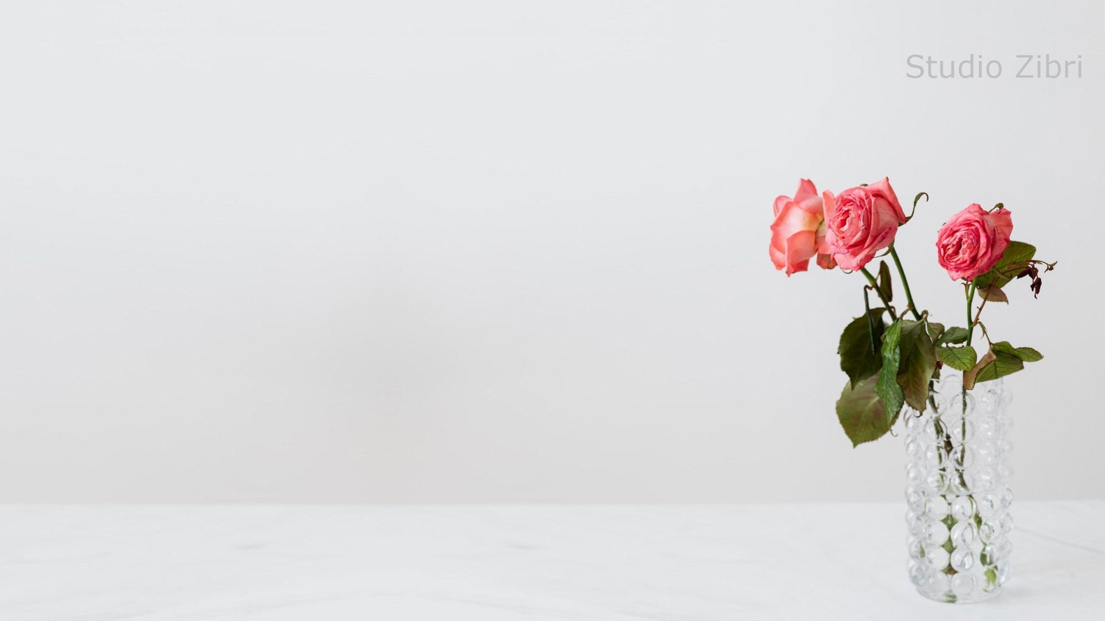 Flower Wall Zoom Background Office Pack II for Virtual Etsy Canada