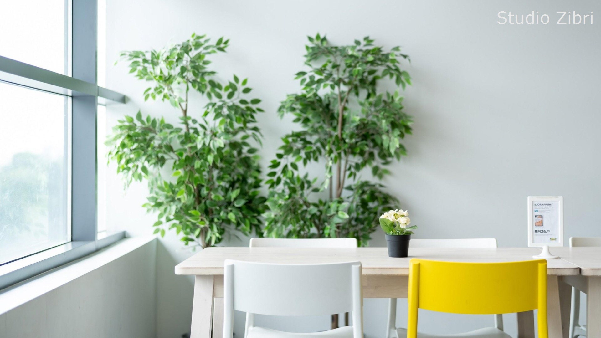 Simple Wall Zoom Background Office Pack I para reuniones virtuales