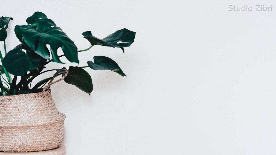 Simple Wall Zoom Background Office Pack I para reuniones virtuales