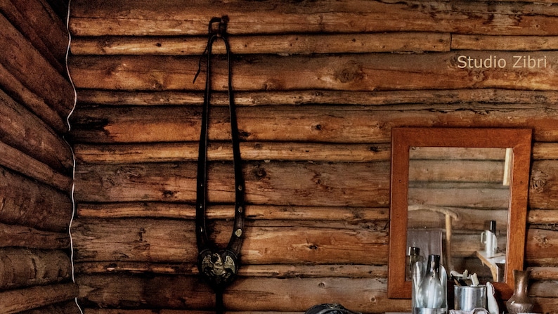 Log Cabin Zoom Background Pack Instant Download Virtual Etsy