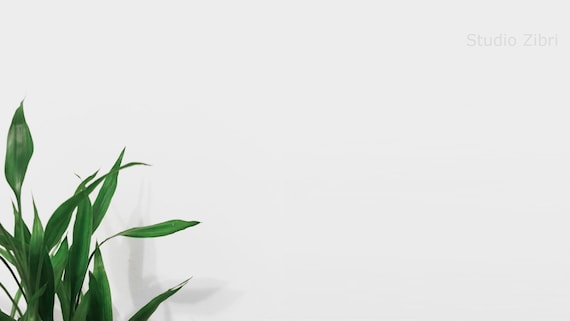97 + Background Zoom Simple - MyWeb