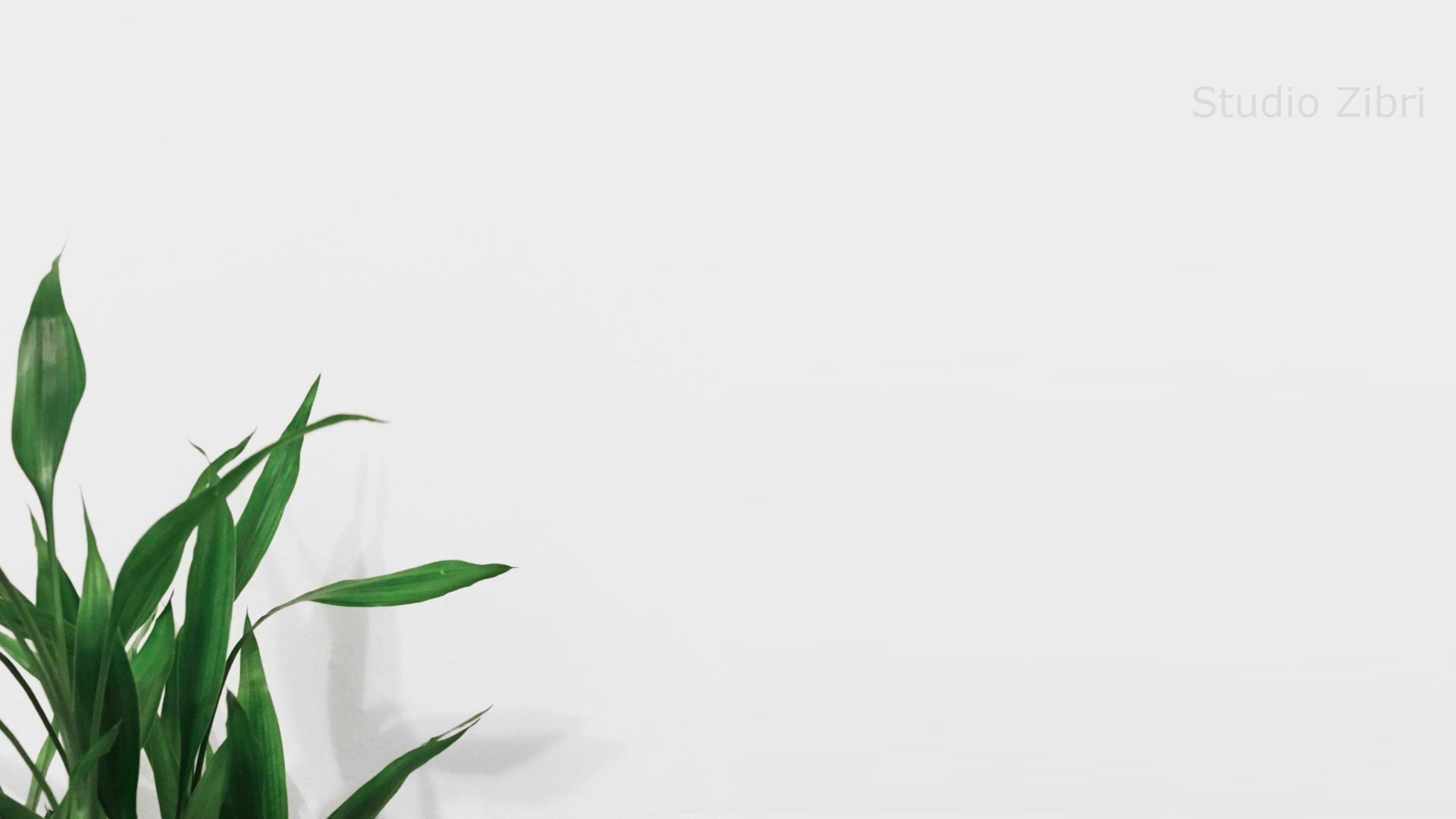 Simple Wall Zoom Background Office Pack II for Virtual Etsy Canada