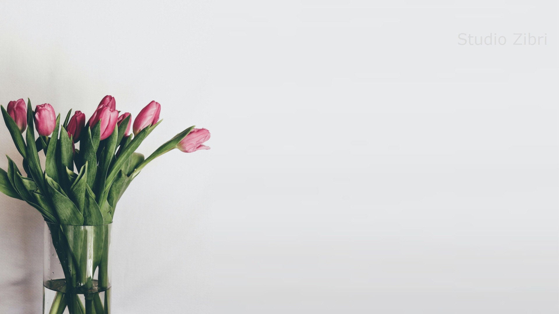 Simple Wall Zoom Background Office Pack II for Virtual Meetings