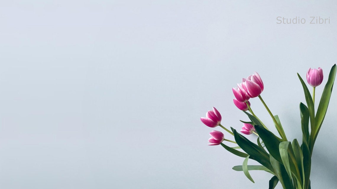 Flower Wall Zoom Background Office Pack II for Virtual Meetings