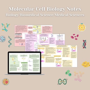 Puede incluir: Un conjunto de notas detalladas y coloridas sobre biología celular molecular. Las notas están organizadas en secciones con encabezados y diagramas. Las notas se muestran en la pantalla de una computadora portátil y están rodeadas de varias ilustraciones relacionadas con las células.