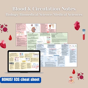 May include: A set of colorful printable study notes for biology, biomedical science, and medical sciences. The notes cover blood and circulation, with diagrams and text. A bonus ECG cheat sheet is included.
