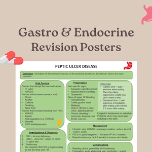 May include: A medical revision poster titled "Gastro & Endocrine Revision Posters" detailing Peptic Ulcer Disease. The poster includes risk factors, presentation, differential diagnosis, management, and complications. The design features a pink stomach graphic and pill illustrations.