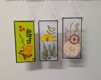 Pressed Flowers Mounted on Stained Glass, Window or Wall Hanging