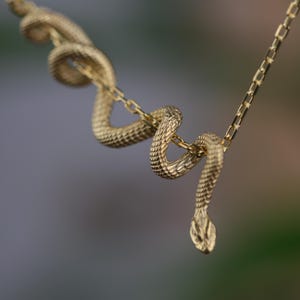 May include: A gold-coloured necklace with a snake pendant. The snake is detailed with textured scales and a curved design. The necklace chain is delicate, and the snake's head is slightly raised, creating a striking visual.