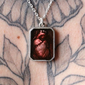 May include: A silver chain necklace with a pendant featuring a detailed anatomical heart encased in a clear resin square.