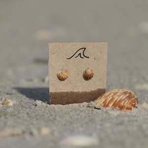 Mini Sea Shell Earrings