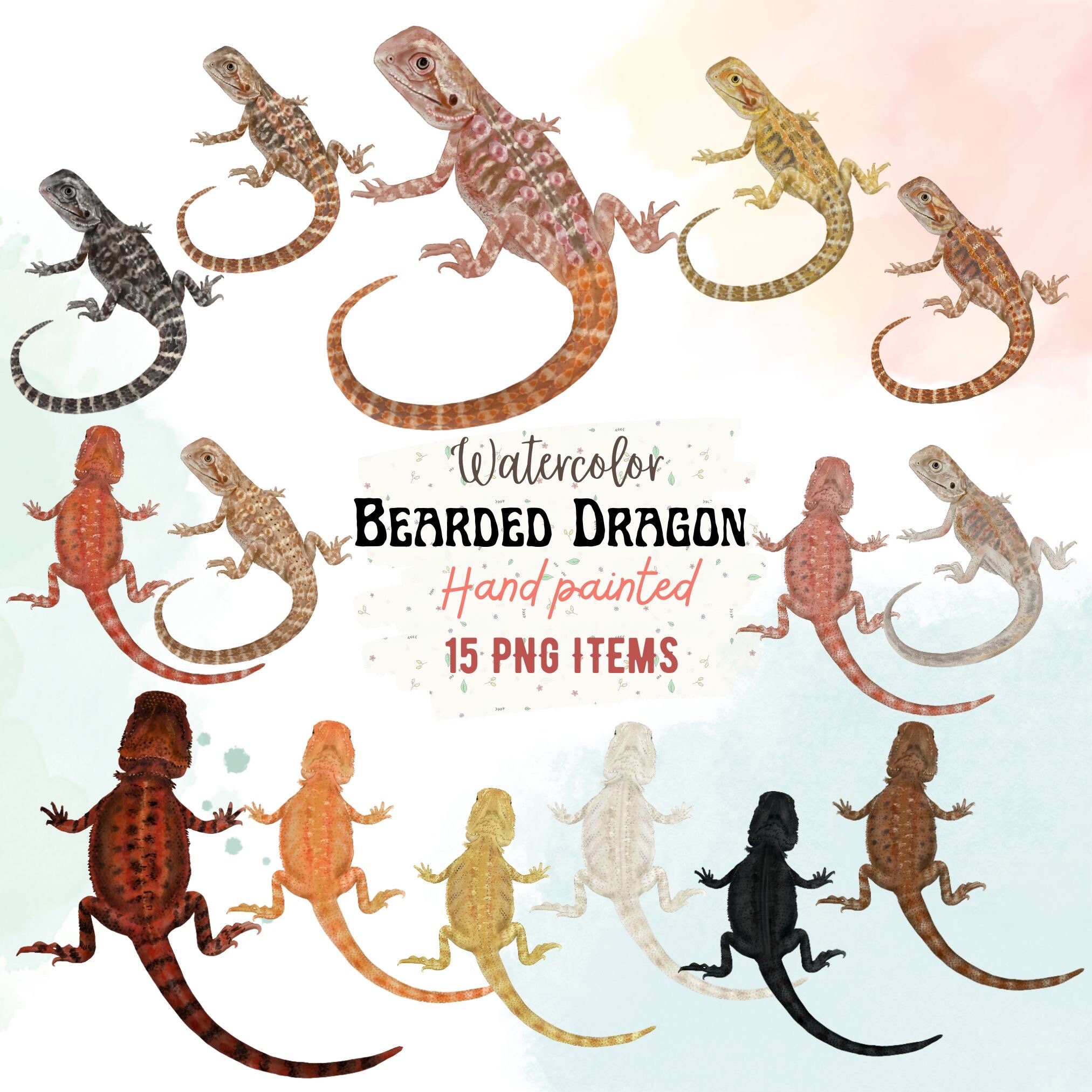 Watercolor Bearded Dragon Clipart. Lizard png file, Pet Clipart. Bearded Deagon png. Portrait Creators. Reptile pet portrait. Pod clipart
