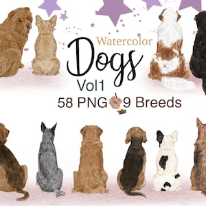 Aquarel HOND CLIPART, achteraanzicht van honden. Hondenrassenbundel. Golden retriever-png. Illustraties hondenportret. Huisdier clipart. Beagle-tekening