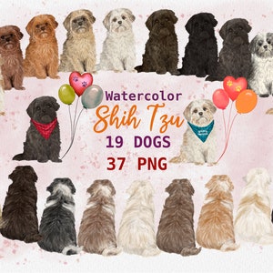 Aquarell Shih Tzu Clipart. Seltener sitzender Hund Graphik.  Shih Tzu Porträt Design. Personalisierte Shih Tzu. Süße Hunde handbemalt