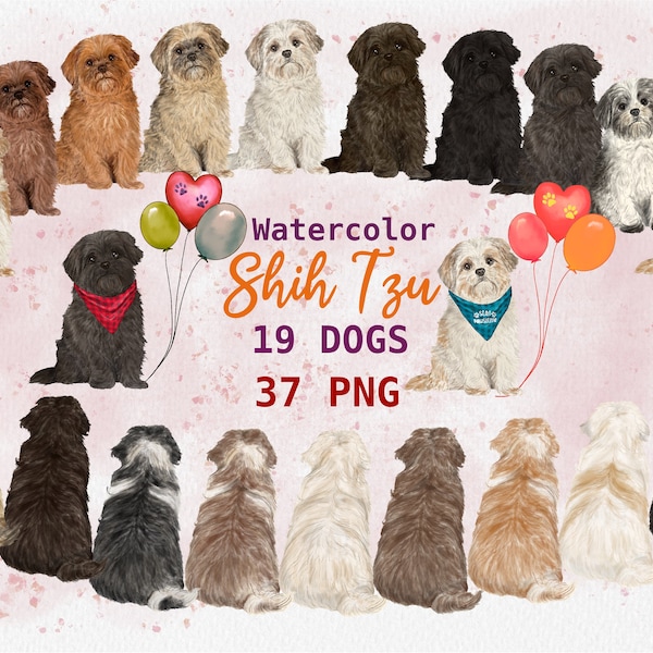 Watercolor Shih Tzu Clipart. Raer Sitting Dog Graphic.  Shih Tzu Portrait Design. Personalized Shih Tzu. Hand painted Cute Dogs