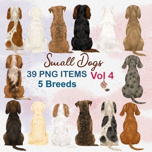 Clipart petit chien. Chiens de dos. Graphiques personnalisables de chien. Cadeau pour les amoureux des chiens. Éléments de portrait bricolage. Clipart POD. Conception de portraits