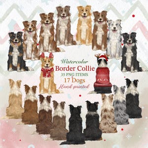 Clipart aquarelle de border collie. Graphique de Noël Border Collie. Clipart personnalisable de chien. Chien de berger png. Sublimation chien assis.