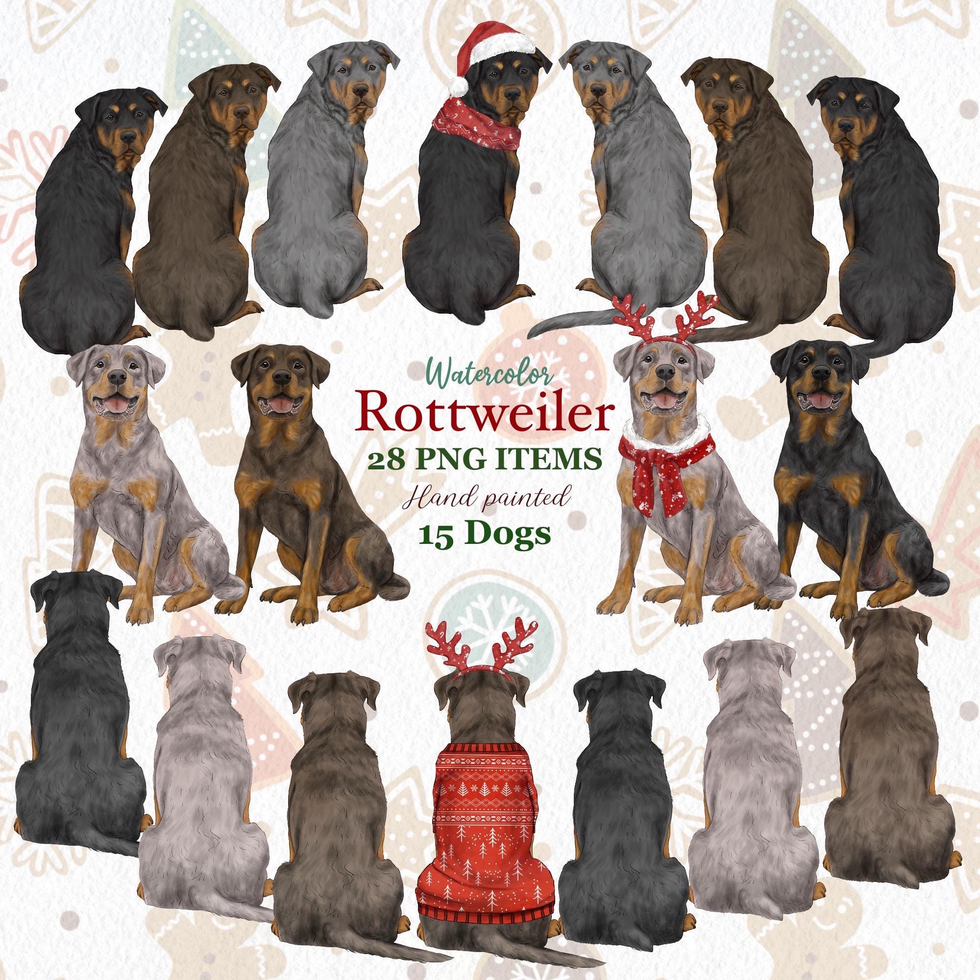 Watercolor Rottweiler Clipart. Customizable Rottweiler png. Christmas Dog Graphics. Rottie Lovers Gift. Rottweiler Portrait. Family Members