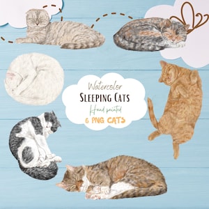 Aquarell Katze Clipart. Niedliche Katzen Illustration. Katzen herunterladen. Schlafende Katze Clipart. Nickerchen der Katze. friedlich Katzengrafik.