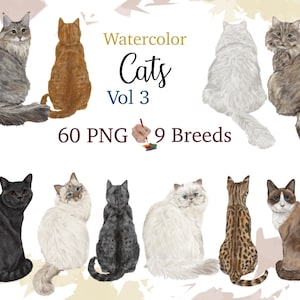 Watercolor CAT CLIPART. Cat Breeds. Aquarelle Kitten Images. Sitting back Cat illustrations. Personalized cat graphics. Types of Cat png.