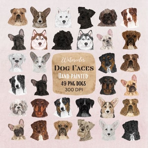 Clipart de perro en acuarela/Sublimación de perro/Retrato de perro pintado a mano/Perros que miran fijamente/Bulldog inglés/Husky/Shih Tzu/Corgi/Border Collie png