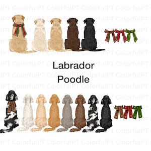 May include: A digital illustration featuring two rows of dog breeds viewed from behind. The top row shows five Labrador Retrievers in yellow, cream, tan, brown, and black, with three festive bows. The bottom row shows eight Poodles in various colors, with three additional bows. The text reads Labrador Poodle.