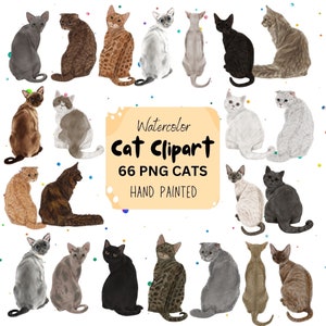 Aquarel KATTENCLIPART. Bundel kattenrassen. Kittenafbeeldingen. Illustraties van katten downloaden. Afdrukbaar kattenschilderij. Siamese kat. Scottish Fold