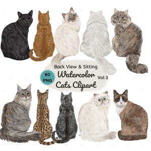 Watercolor CAT CLIPART. Cat Breeds. Aquarelle Kitten Images. Sitting back Cat illustrations. Personalized cat graphics. Types of Cat png.