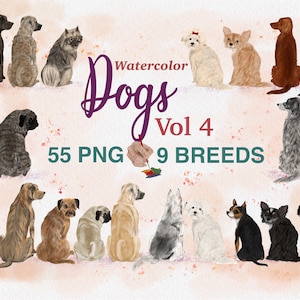 Clipart chien aquarelle. Lot races de chiens. Graphique de chien personnalisé. Chiens assis à l'arrière. Illustrations de chiots. Maltais. Husky. Carlin. Chihuahua
