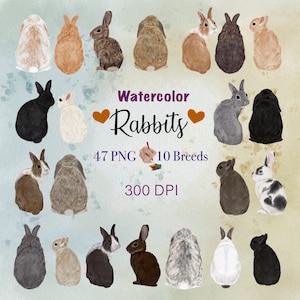 Kaninchen Rassen Clipart. Kinderzimmerbilder. Tierliebhaber Geschenk. Hasen Illustrationen. Anpassbare Kaninchengrafik.