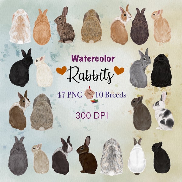 Watercolor rabbit breeds clipart. Nursery images. Animal lovers gift. Rabbit illustrations. Customizable rabbit graphic.